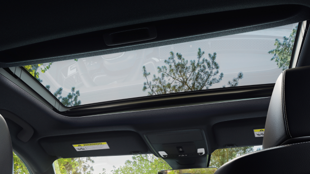 Interior view looking up at and through glass moonroof, showing some treetops. 