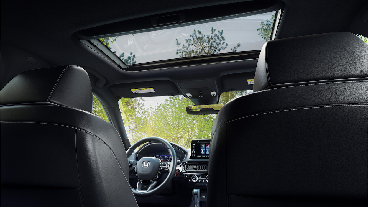 Interior view looking up at and through glass moonroof, showing some treetops.