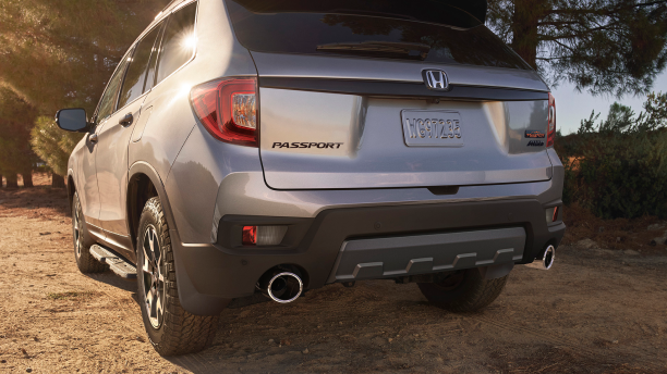 3/4 rear closeup of grey Passport in forest.