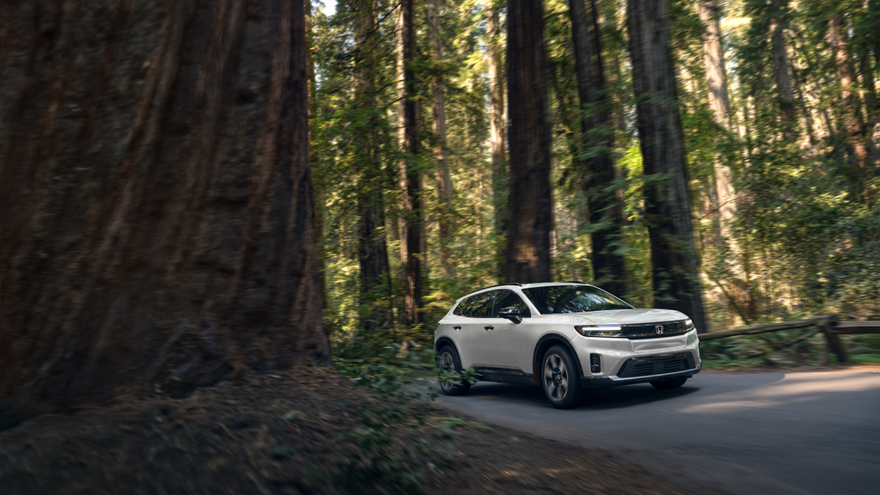 3/4 front side view of white Prologue driving on paved road in a temperate forest.