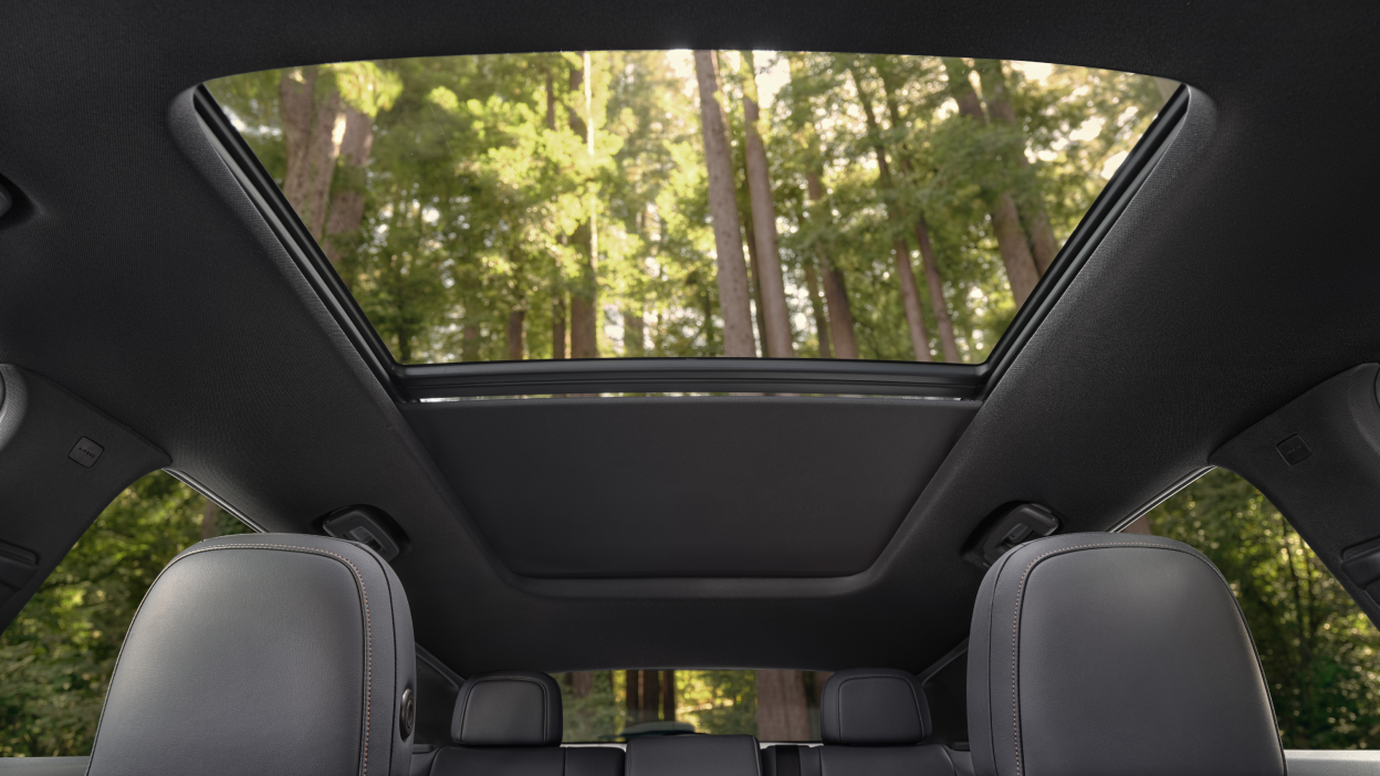 Interior worm’s eye view of open panoramic moonroof, where we see tall temperate forest trees.